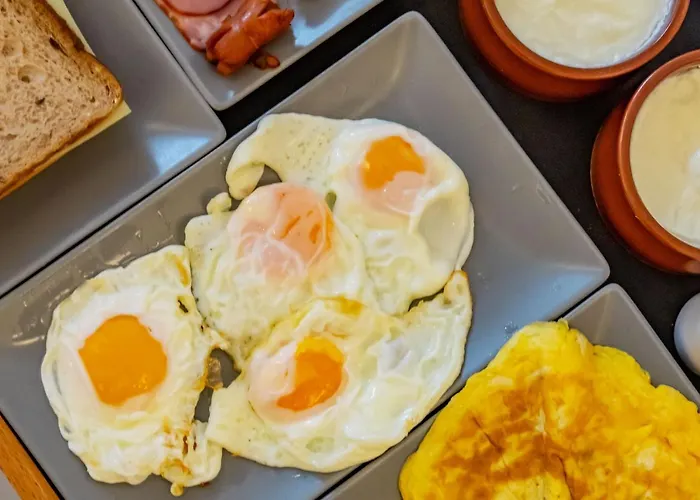 酒店 中央费拉酒店